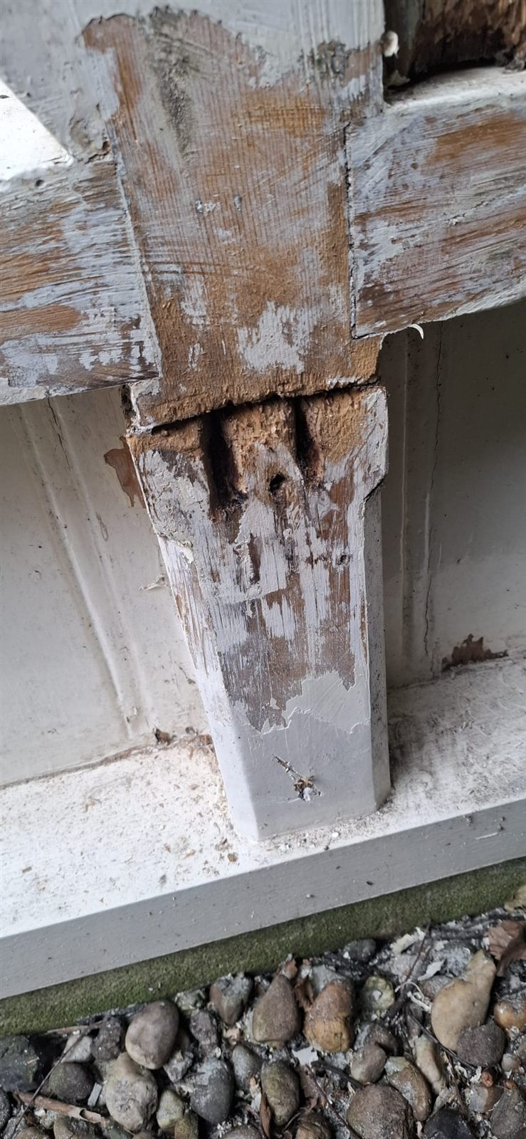 Aangetast hout uit een stijl weggenomen, klaar voor nieuw hout